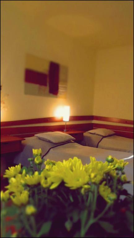 The Zen Hotel - Posticum Oradea Habitación foto